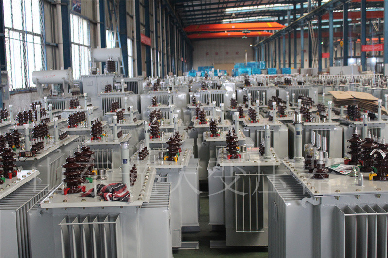 安平S22-800KVA/10KV